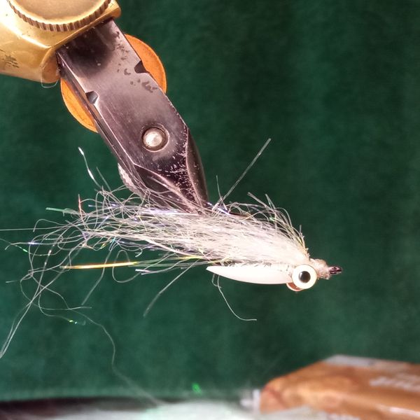 461795946_552323754141447_3331049997343470141_n