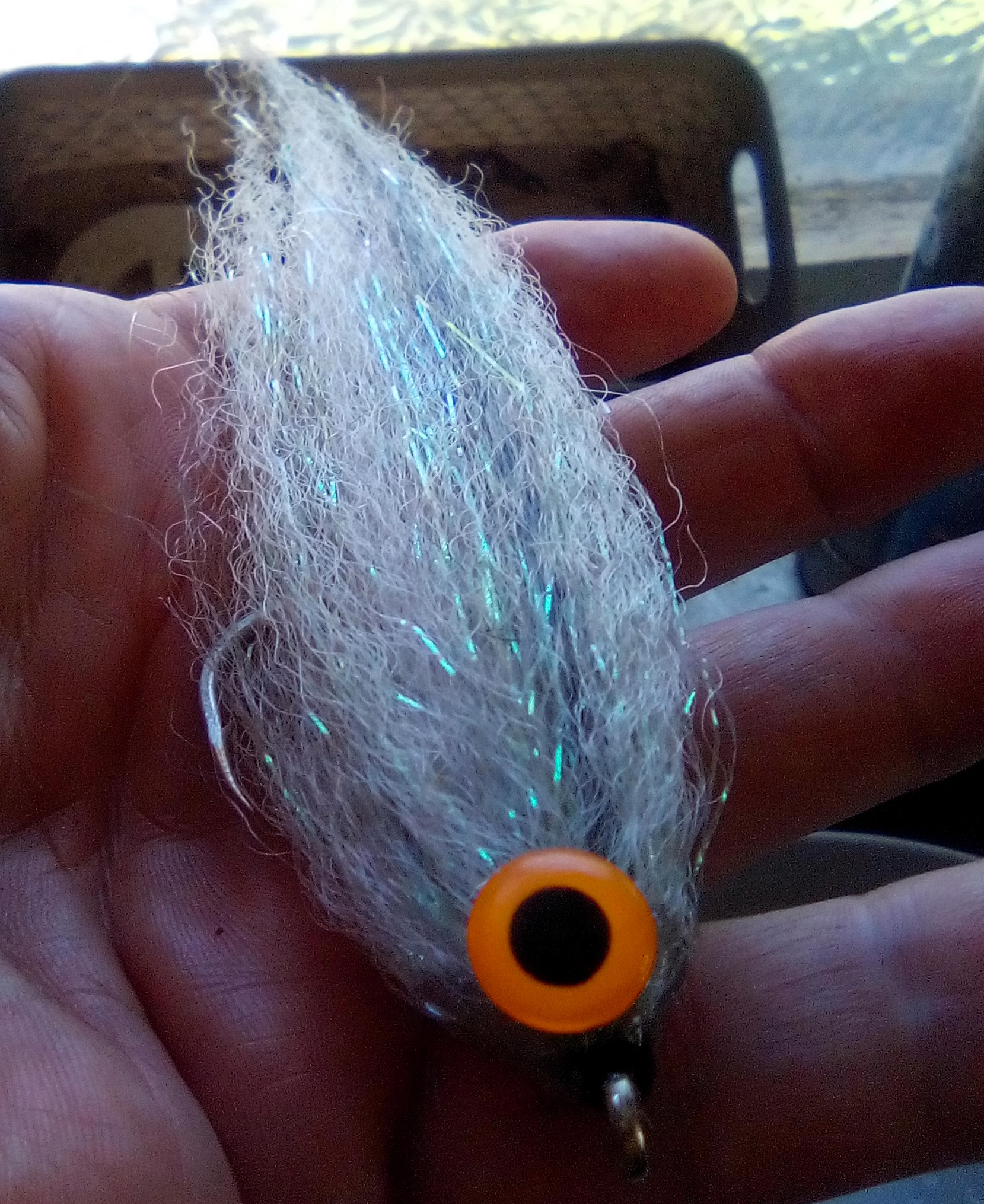 IMG_20241223_111004_272