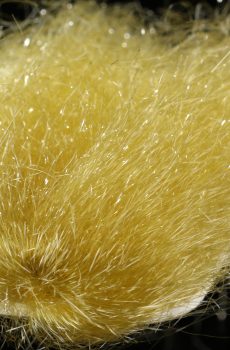 Saltwater Ghost Hair, Golden Olive