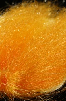 Saltwater Ghost Hair, Orange