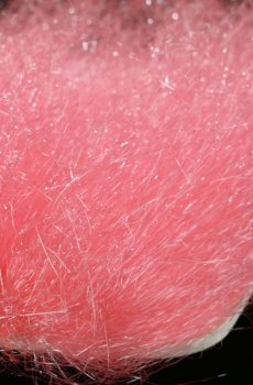 Saltwater Ghost Hair, Salmon Pink