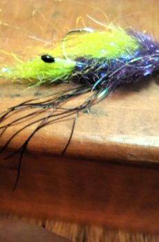 3 Mantis Shrimp Purple Chartreuse #4