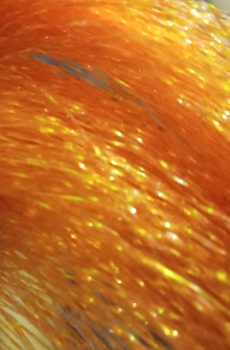 FF&FT Micro Fusion Orange