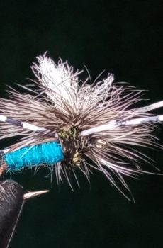 Parachute Blow Fly Humpy Blue